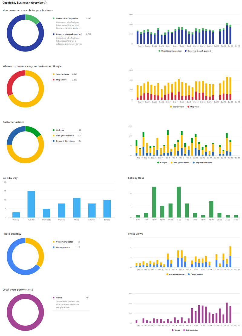 Google My Business Performance Reports